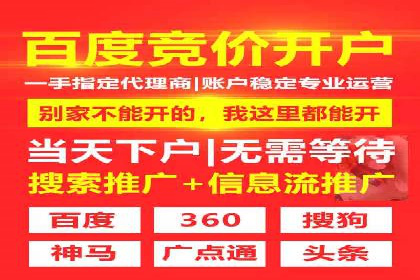 案例分析：高效信息流广告投放策略
